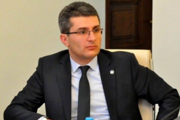 დეპუტატის თქმით, საქართველომ პროგრესული და დემოკრატიული კონსტიტუცია შექმნა