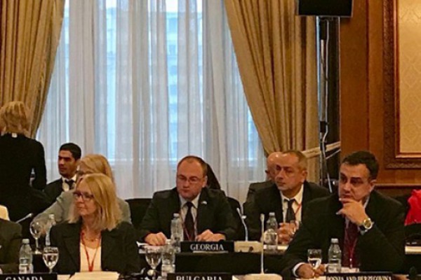 საქართველოს პარლამენტის მუდმივმოქმედი დელეგაცია ნატოს საპარლამენტო ასამბლეის წლიურ სესიაში მონაწილეობს