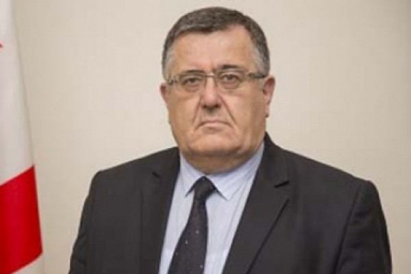 ვაკის პარკში აღმოჩენილ ფაროსანას სპეციალისტები სწავლობენ და თუ ის აზიური ფაროსანა იქნება, შესაბამისი ღონისძიებები გატარდება