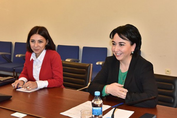 ეკა ბესელია საქართველოში ევროსაბჭოს ოფისის ხელმძღვანელს, კრისტიან ურსეს შეხვდა