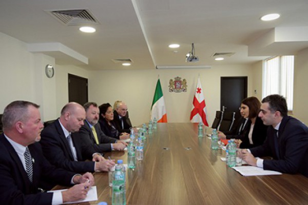 ეკონომიკისა და მდგრადი განვითარების სამინისტროში ირლანდიის საპარლამენტო დელეგაციასთან შეხვედრა გაიმართა