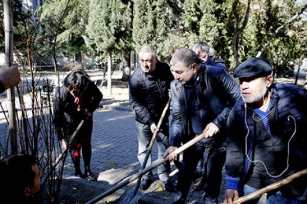 ჩუღურეთის რაიოში 500 ხე-მცენარე დაირგვება