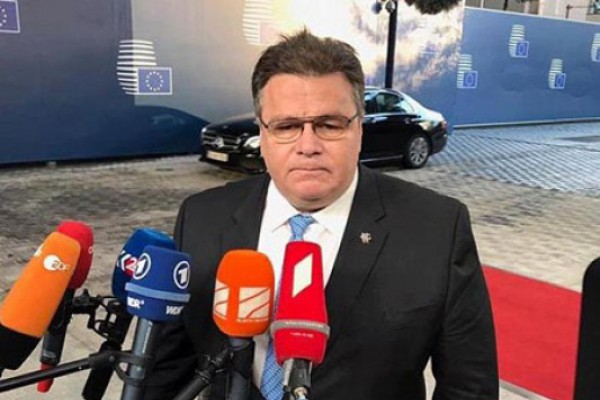 ლინას ლინკევიჩუსი:  საქართველო სწორ გზაზეა