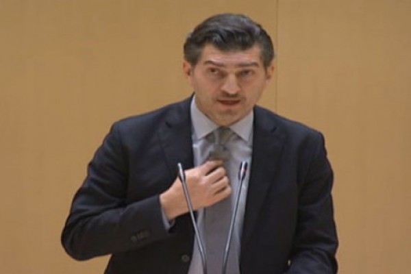 მიხეილ ყაველაშვილმა კომიტეტის მუშაობის ერთ წლიანი ანგარიში წარადგინა