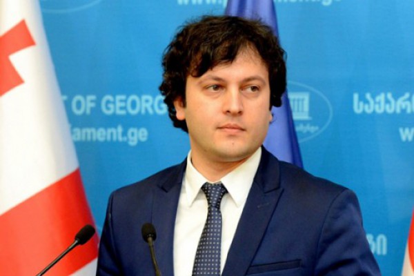 ნინო ჯანგირაშვილი და თამთა მურადაშვილი კონკრეტულ პარტიულ ინტერესებს ატარებენ