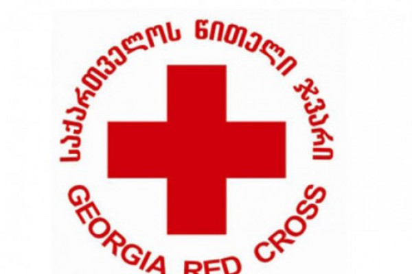 წითელი ჯვრის საერთაშორისო კომიტეტი მზადაა, არჩილ ტატუნაშვილის ცხედრის გადმოსვენებაში მონაწილეობა მიიღოს