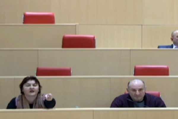 ჩვენი პოლიტიკური ძალა ამ საგამოძიებო კომისიაში არ დარჩება, რადგან ვიმყოფებით არა პარლამენტში, არამედ აბსურდის თეატრში