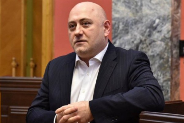 რეზოლუციას ევროპული პოლიტიკის წარმმართველი პარტიების აბსოლუტური უმრავლესობა მხარს უჭერს