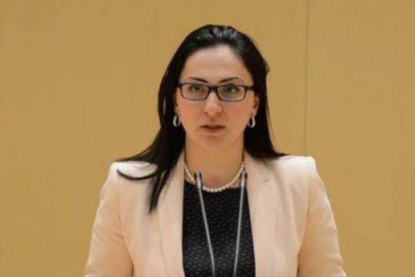 ივანიშვილის პოზიციაა, რომ სიღარიბის კუთხით მძიმე სიტუაციაა, კვირიკაშვილი მოსაზრებით, ეკონომიკური გუნდის პოლიტიკა იყო სწორი - ეს იყო მათ შორის აზრთა სხვადასხვაობა