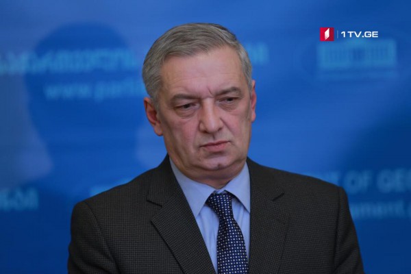 მამუკა ბახტაძის ხედვები არის მისაღები და მისასალმებელი, ყველანი მზად ვართ, მხარი დავუჭიროთ