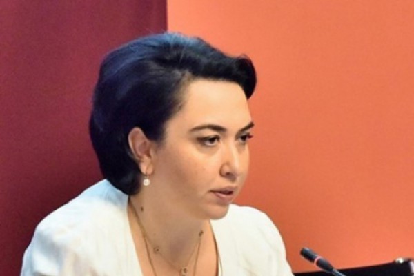 თუკი ირაკლი ქადაგიძის და ზაზა ჭაიას დახმარება გიგა ბოკერიას სჭირდება, კი ბატონო, მშვიდობაში დაიხმარონ, მაგრამ არა საგამოძიებო კომისიის სახელით