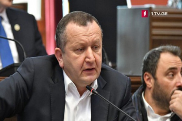 თუ მთავრობამ საზოგადოების ნდობა ვერ მოიპოვა, კრიზისს ვადამდელი საპარლამენტო არჩევნები განმუხტავს