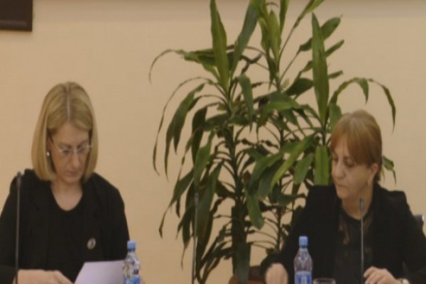 საგამოძიებო კომისიის წევრები 51-ე სკოლის დირექტორსა და მის მოადგილეს კითხავენ