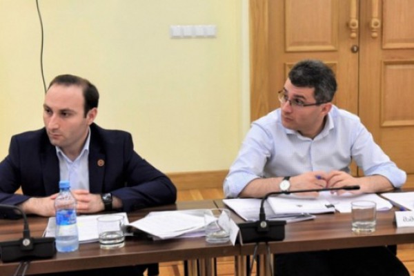 ძალიან გთხოვთ, ჟესტიკულაციით, მიმიკით, დამცინავი ტონით ნუ გამოვალთ იმ ადამიანების წინააღმდეგ, ვინც კომისიის სხდომაზე იკითხება