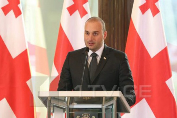 სალომე ზურაბიშვილის მხარდაჭერაზე საბოლოო გადაწყვეტილება არ მიგვიღია, ამიტომაც, მის პოლიტიკურ განცხადებას ვერ შევაფასებ