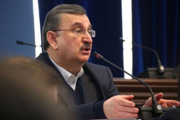 რომან გოცირიძე:  უმრავლესობის დეპუტატებს შეიძლება ვუწოდოთ ლეღვის ფოთლები - გადაეფარნენ სასირცხვილოს და უმსგავსოს