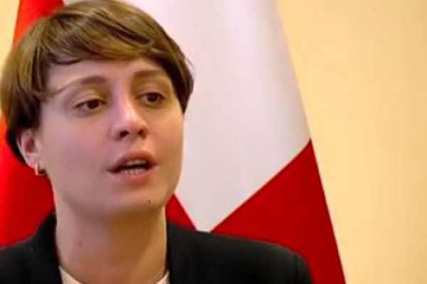 „ნუ აშინებენ ხალხს, ნუ ქმნიან ხელოვნურ აჟიოტაჟს“ - ელენე ხოშტარიას მიმართვა „ქართულ ოცნებას“