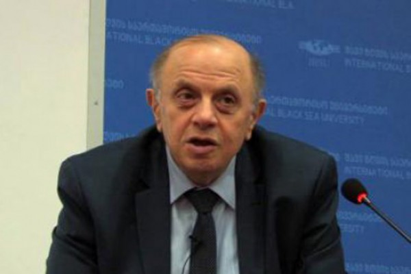 ბერძენიშვილი ნაცმოძრაობაზე: 