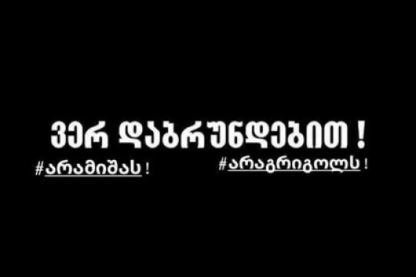 ვერის ბაღში აქცია - 