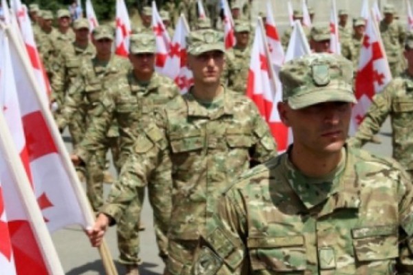გია ვოლსკი: ნაციონალური მოძრაობის  უზნეო ტყუილს, რომელშიც ისინი ცდილობენ ჯარისკაცების დარწუმენბას,  პასუხი გაეცემა ჰააგაშიც და სტრასბურგშიც