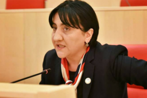 კენჭისყრაზე უნდა გავიდეს რეზოლუცია, რომელიც სააკაშვილ-ბოკერიას მმართველობას დანაშაულებრივ რეჟიმად შეაფასებს”