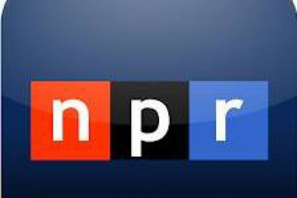 ამერიკული რადიო NPR:   საბჭოთა კავშირის ყოფილი რესპუბლიკის დემოკრატიული გარდაქმნა კითხვის  ქვეშ დგას
