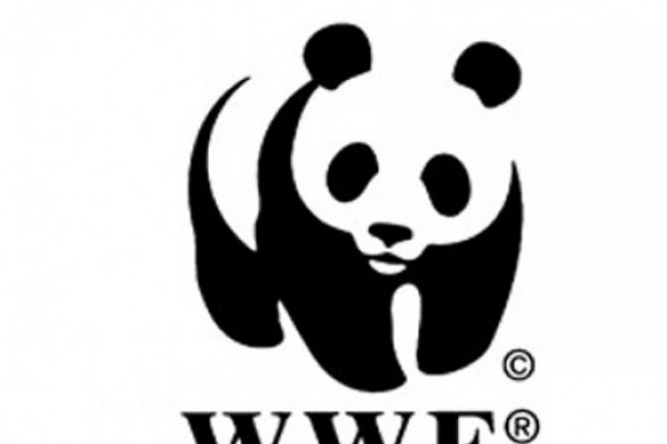 WWF -ის ინიციატივით  „ტყის კვირეული