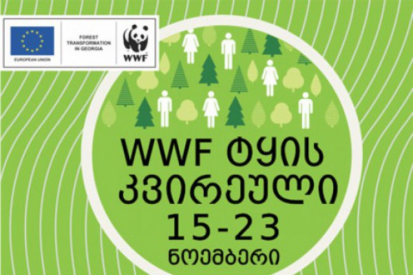 WWF -ის ინიციატივით  „ტყის კვირეული“ გაიმართება