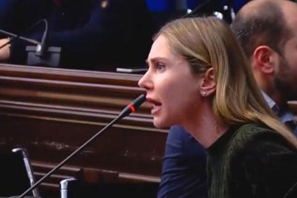 განათლების კომიტეტის სხდომაზე ხმაურია