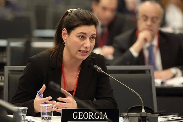 სოფო ქაცარავა: დღეს დავამტკიცეთ ჩვენი კომიტეტის 2019 წლის სამოქმედო გეგმა