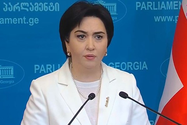 ეკა ბესელია „პატრიოტთა ალიანსთან“ თანამშრომლობას არ გამორიცხავს