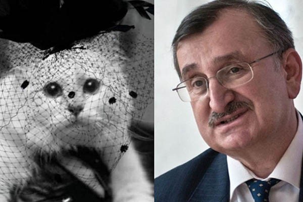 “კატის ნუ გშურთ…