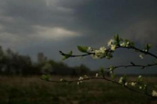ორი დღე ისევ წვიმა და ქარი იქნება