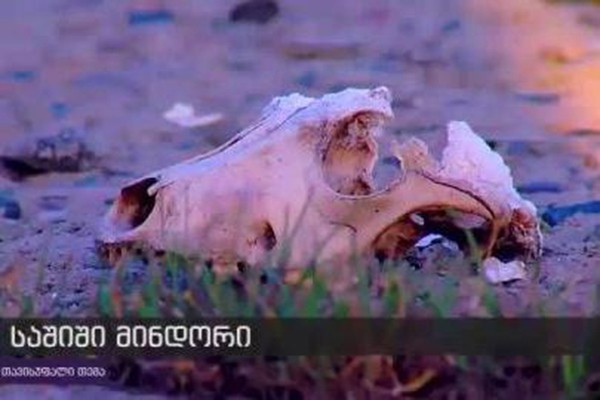 გლდანში შავი ჭირის საფრთხეა