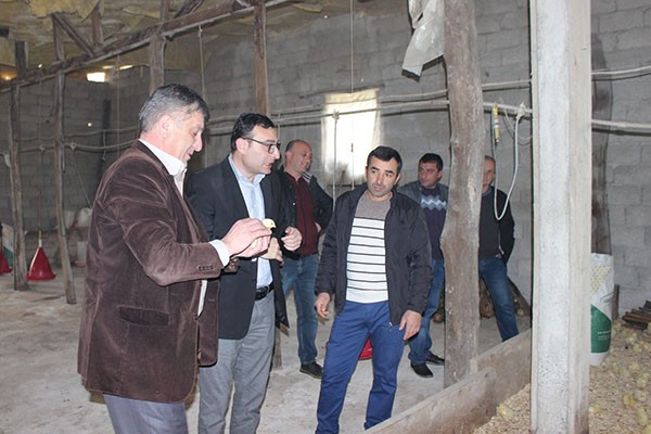 მეფრინველეობის განვითარება მაჭახელას ხეობაში