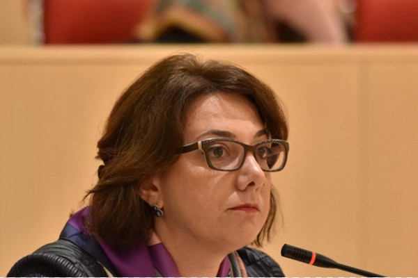 თქვენს მიერ ნახსენებ ადამიანს ძალიან დიდი დრო ჰქონდა, გარეჯთან დაკავშირებული საკითხი დაერეგულირებინა ისე, როგორც საჭიროა