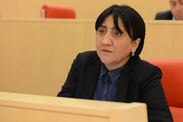“იმუნიტეტის მოხსნა გიგა ბოკერიადან უნდა დაიწყოს…”