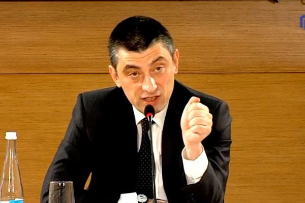 “2012 წელს ქართველმა ხალხმა და პარტიის ლიდერმა ბიძინა ივანიშვილმა მშვიდობიანად გადადგა კიდევ ერთი წარმატებული ნაბიჯი”