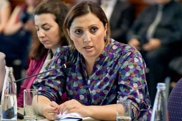 წარმოდგენა არ მაქვს, შეიძლება, ეს მოხდა შიდა აქტით - ჯანეზაშვილი საკუთარ დიპლომში არსებულ შეუსაბამობაზე