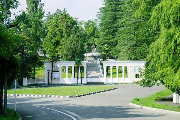 გია აბაშიძე: საშვილიშვილო საქმე, სხვანაირად რა შეიძლება ეწოდოს ბიძინა ივანიშვილის ინიციატივას ააღორძინოს წყალტუბო?