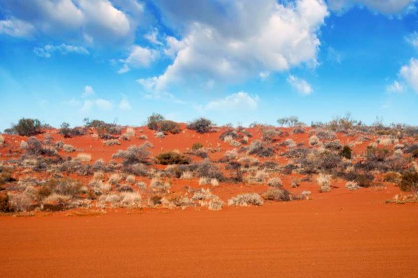 ავსტრალიის უდაბნოში ქალმა წყლისა და საკვების გარეშე 12 დღეს გაძლო