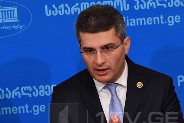 მამუკა მდინარაძე :  პოლიტპატიმრები საქართველოში არ არსებობენ, „ნაციონალური მოძრაობა“ ევროპარლამენტარების მოტყუებაზე გადავიდა