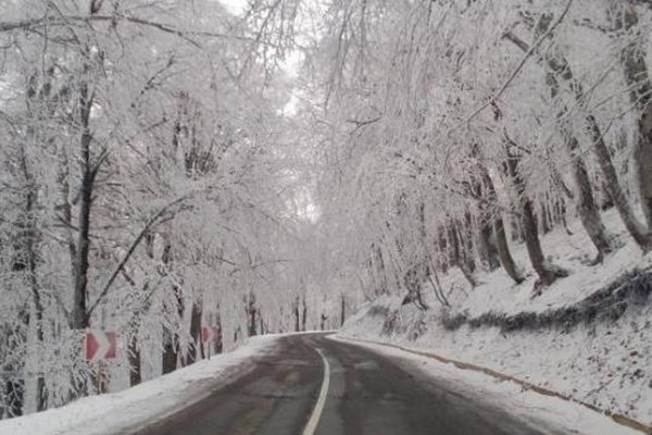 თბილისის გარდა მთელ აღმოსავლეთ საქართველოში თოვს - ტემპერატურა -8 გრადუსამდე დავარდება