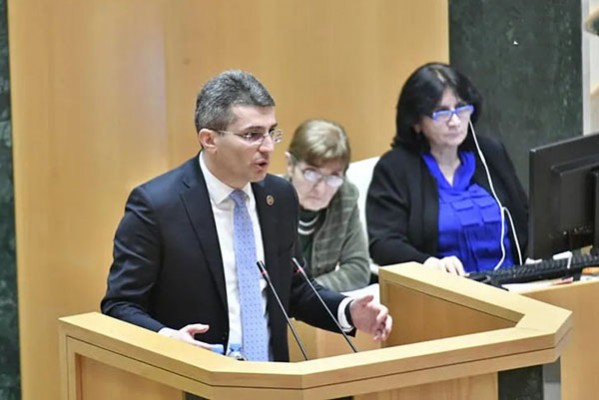 მამუკა მდინარაძე:  3-4 დღეში საკონსტიტუციო ცვლილებაზე საკანონმდებლო ინიციატივა უკვე დაწერილი სახით იქნება წარმოდგენილი