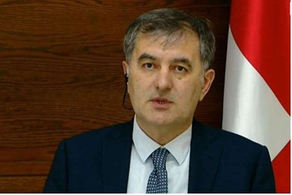სოზარ სუბარი: შექმნილია მოხალისეთა 10 ჯგუფი, რომლებიც ყველა ოჯახში უნდა შევიდნენ და თითოეული ადამიანი შეამოწმონ