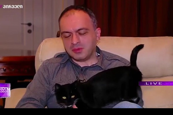 პირდაპირ ეთერში შავმა კატამ გადაირბინა  (ვიდეო)