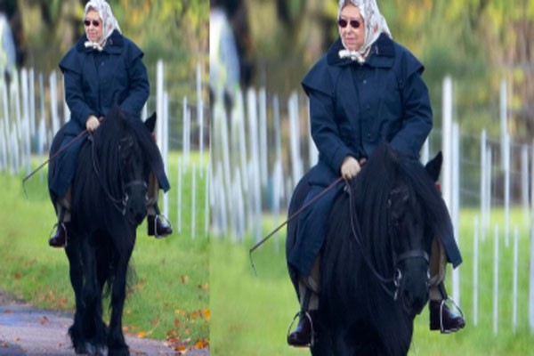 თვითიზოლაციაში მყოფი 94 წლის დედოფალი ელიზაბეტი ცხენით ჯირითობს
