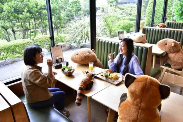 იაპონიის კაფეში სოციალურ დისტანციას სათამაშო წყლის გოჭის გამოყენებით იცავენ