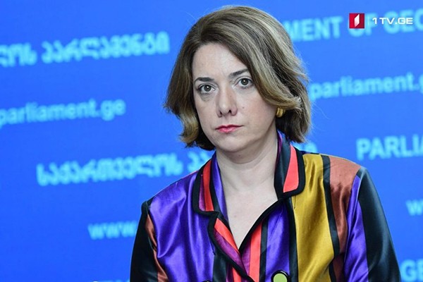სალომე სამადაშვილი: კონგრესმენების ანგარიში არ გადაიხედება, მაგრამ კიდევ ერთხელ დაზიანდება ჩვენი ქვეყნის იმიჯი