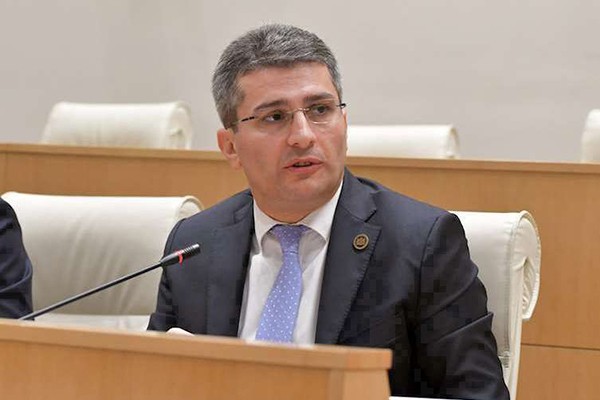 მამუკა მდინარაძე: გერმანიის ელჩზე გაკეთებული განცხადებებით ოპოზიციამ თავი დაიზიანა